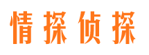 石城市侦探公司